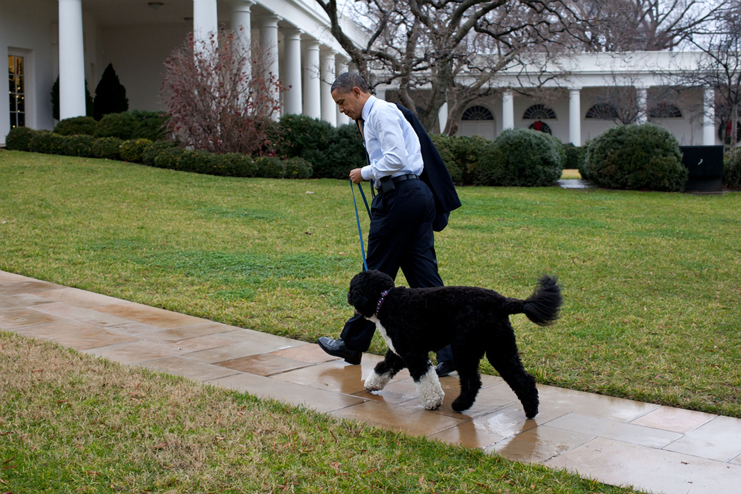 Bo, unul dintre câinii familiei Obama, a murit. Barack Obama: „Ne va fi tare dor de el”