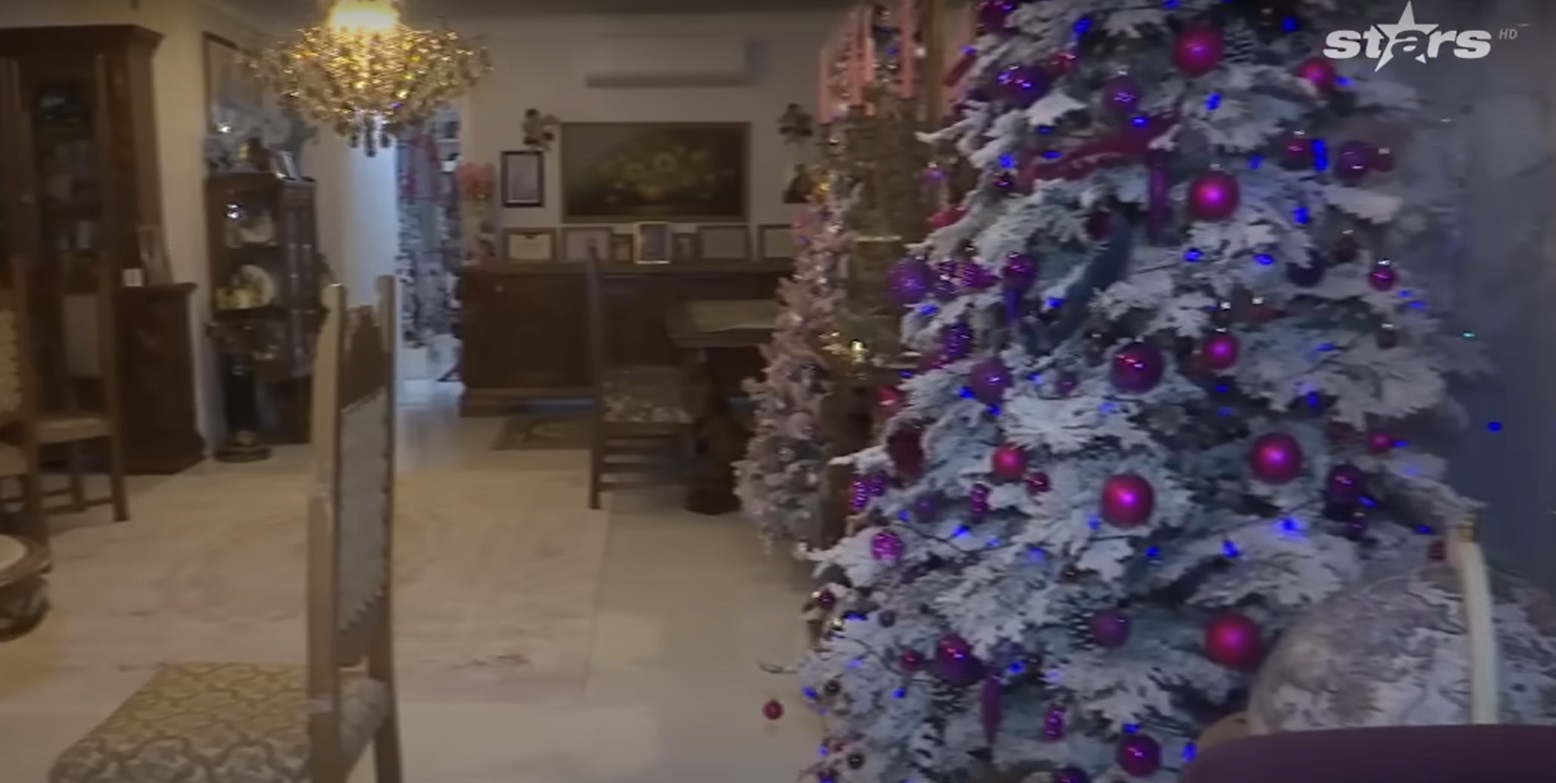 Imagini din casa Medanei și a lui Alin Oprea, decorată de Crăciun. Au împodobit mai mulți brazi, unul chiar și în bucătărie