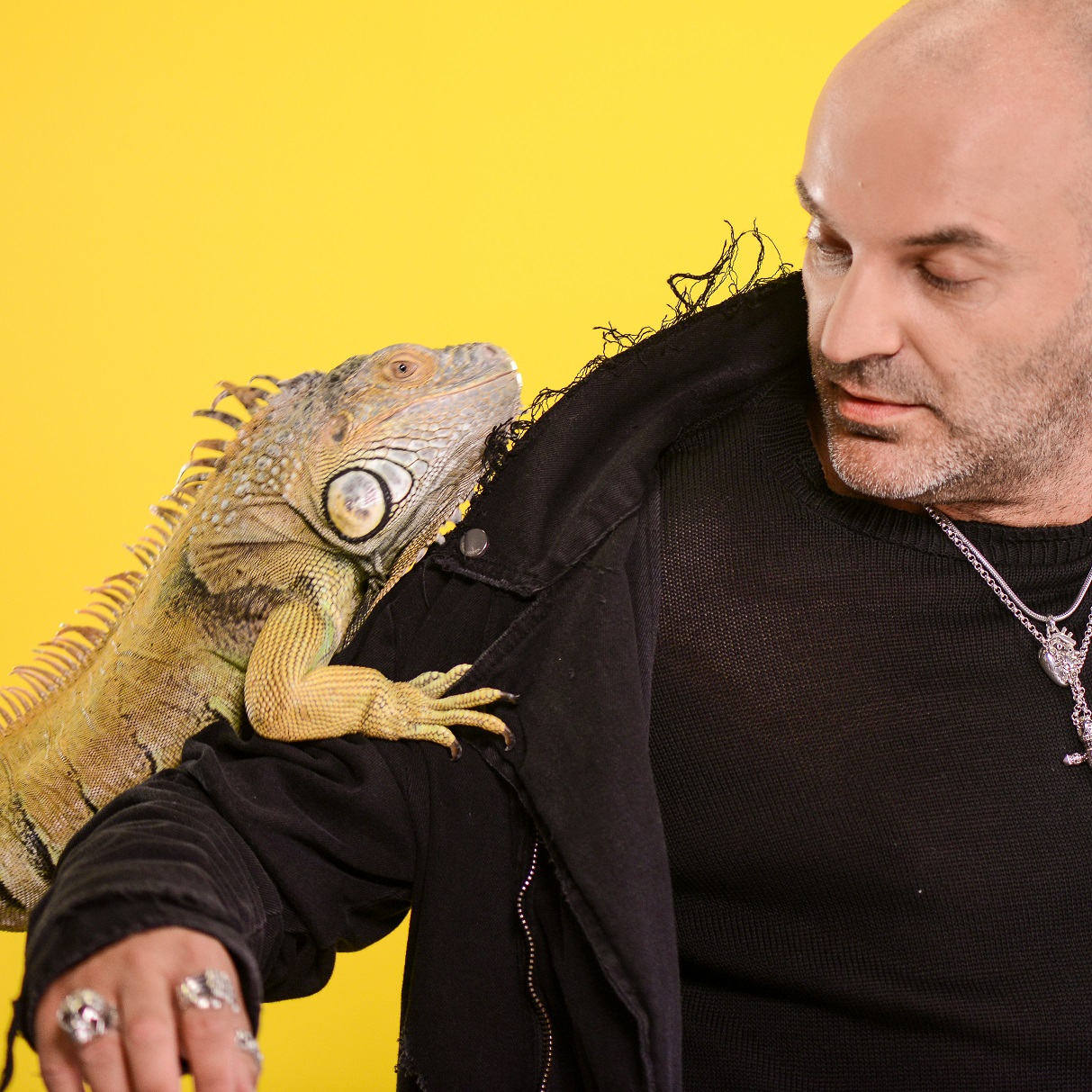 “Acces Direct” și „Xtra Night Show” revin la Antena 1.  Simona Gherghe va avea un coleg de prezentare, iar Vika Jigulina, in echipa lui Dan Capatos | FOTO