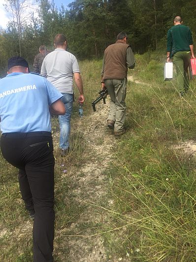 Un urs a fost prins în laț într-o pădure din Vrancea. A fost eliberat după ce i-a fost amputată o labă