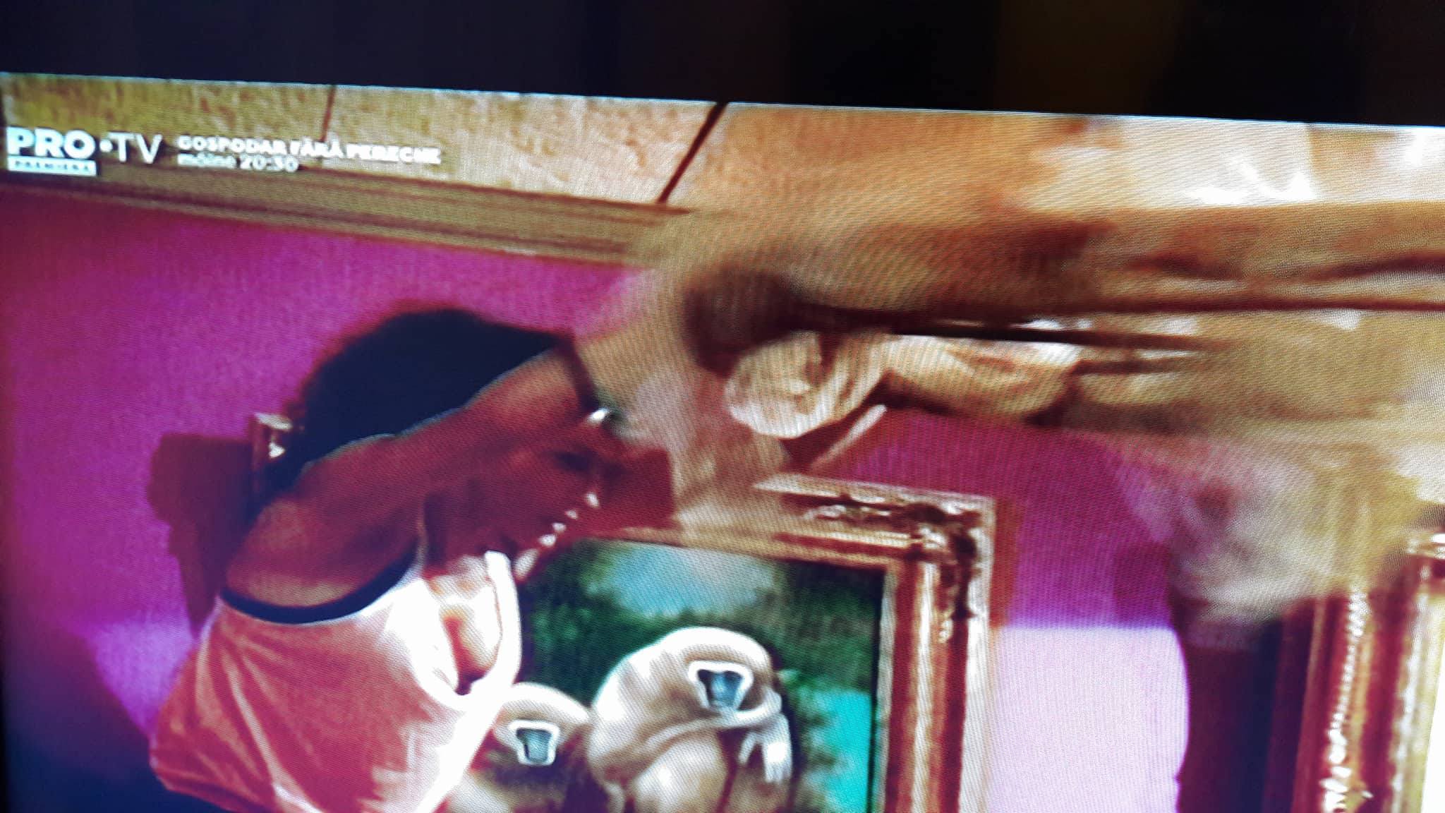 Mihaela Rădulescu, supusă la probe de coșmar la Fort Boyard. "Am aflat că sunt arestată la domiciliu" / FOTO