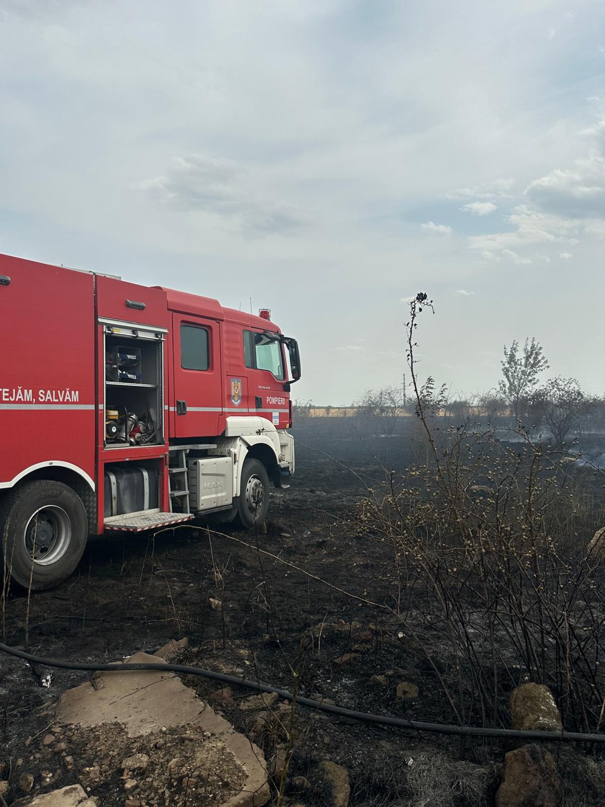 Incendiu de vegetație puternic în Popești Leordeni. Mașina pompierilor, afectată de foc din cauza rafalelor de vânt. S-a emis Ro-Alert