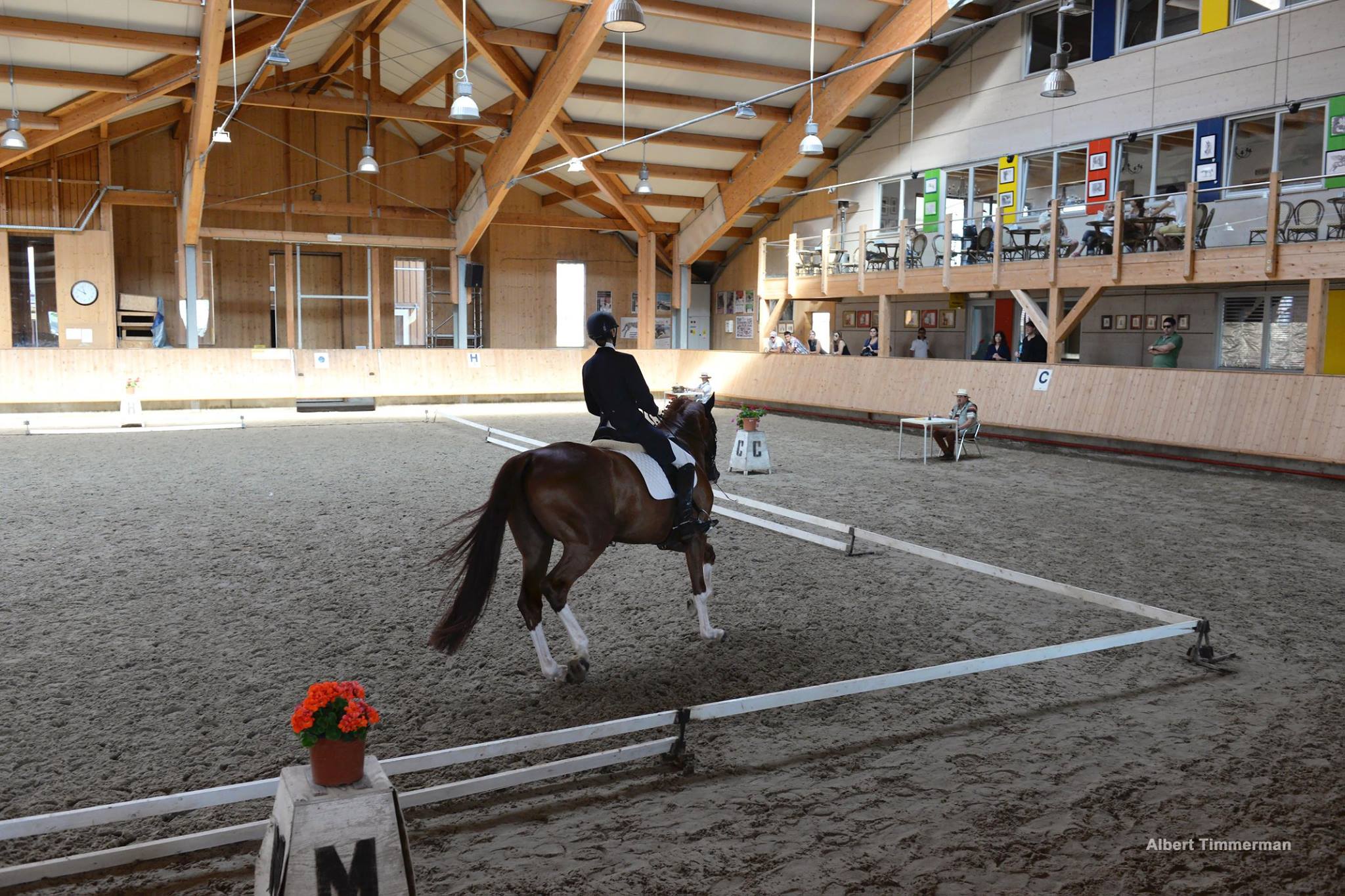 Prima “Clinică de Dresaj” din țară are loc la Clubul Equestria / GALERIE FOTO