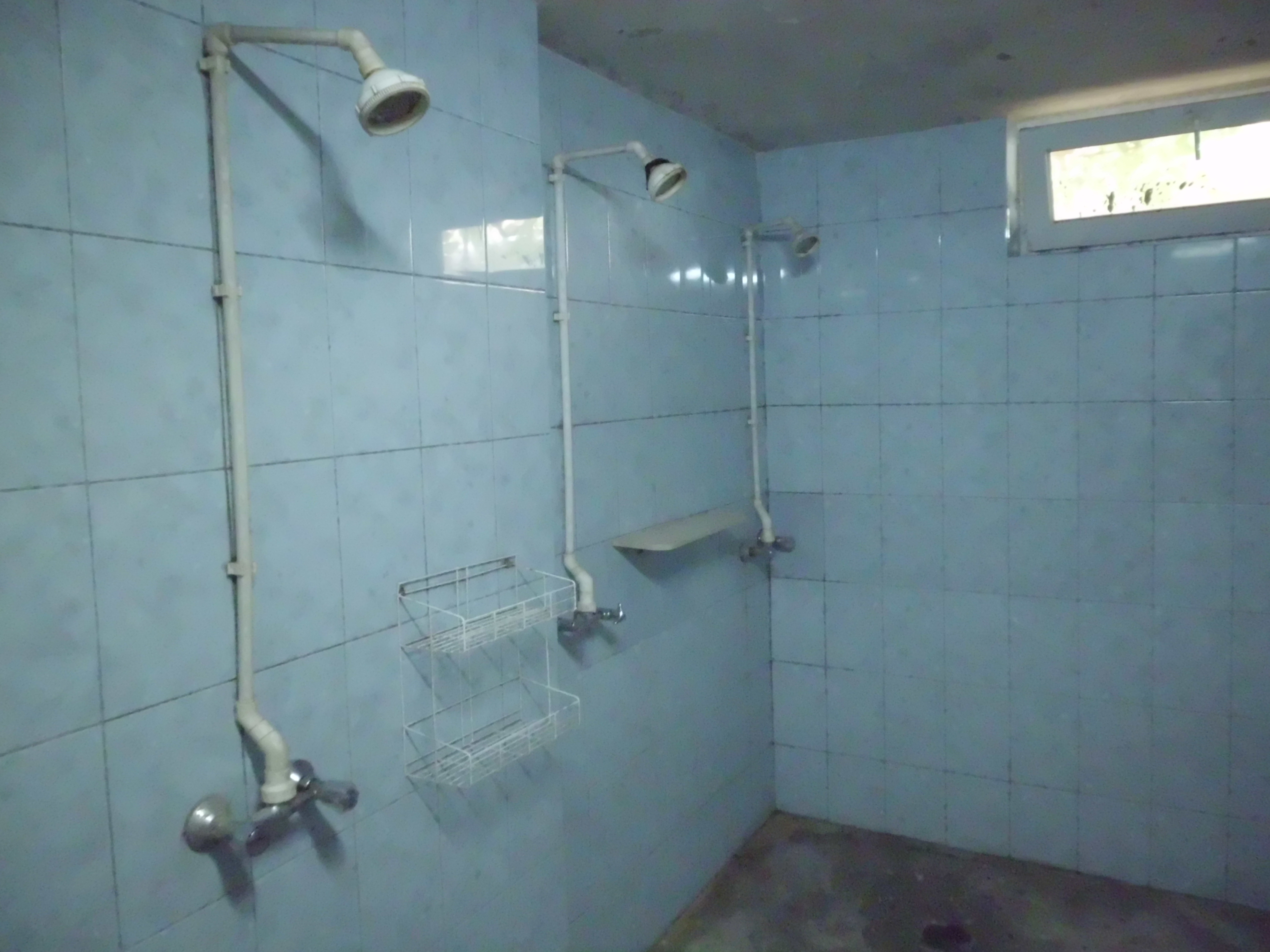 A ridicat cu propriile mâini o afacere unică în Botoșani! GALERIE FOTO
