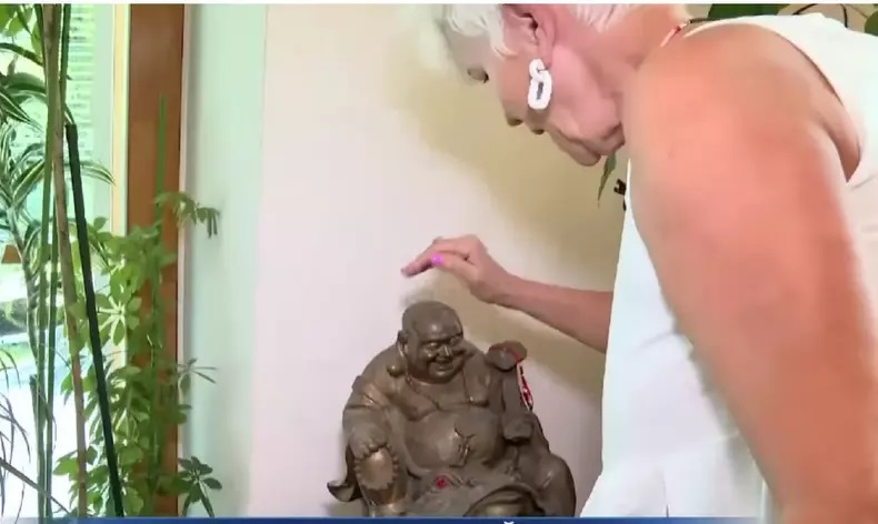 Imagini cu casa Monicăi Tatoiu. Are o vilă cu 9 dormitoare și a fost construită pe o fostă groapă de gunoi