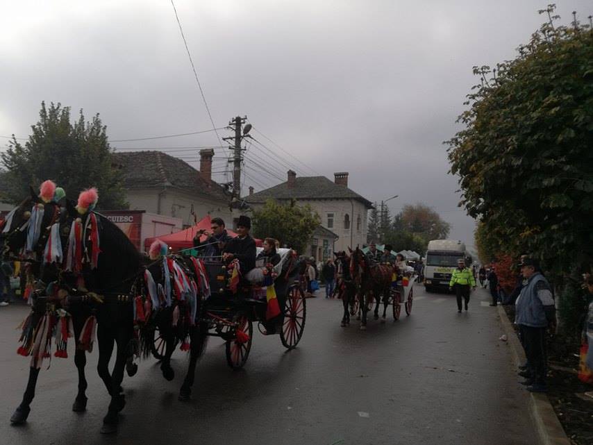 Festivalul zaibărului de la Băileşti a adus sărbătoarea în oraşul lui Nea Mărin!