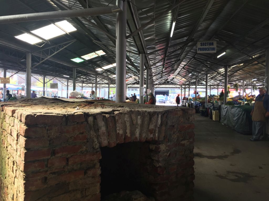 REPORTAJ: Lumea a treia în centrul Timișoarei, în fața unui super-centru de business. De la proiectul exemplu în arhitectură la nepăsare