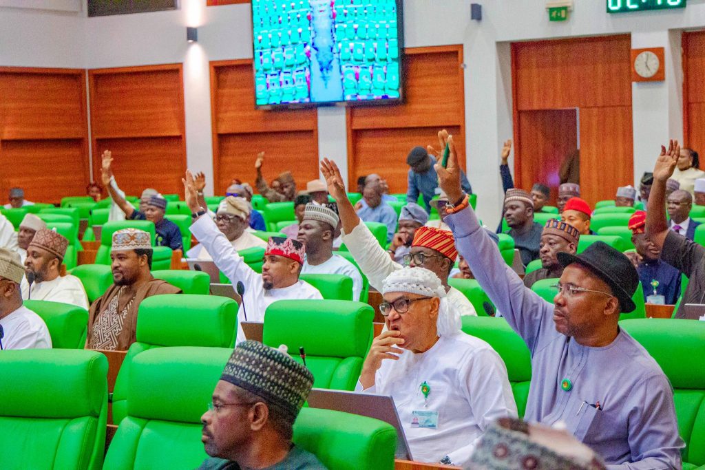 Lawmakers at the House of Representatives. [Daily Nigerian]
