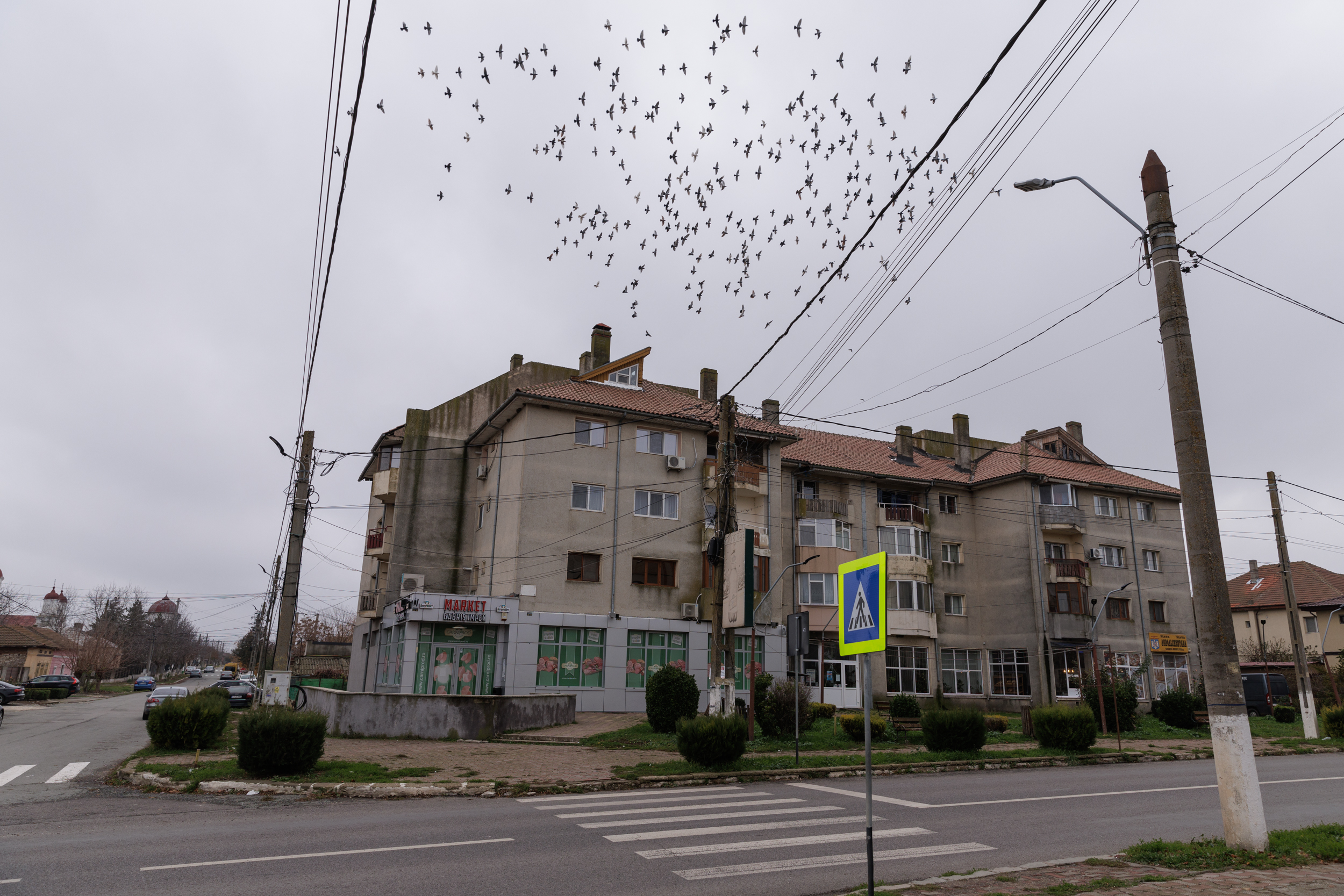Mic sondaj la marginea țării. De la „frumosul Ciolacu” și „inteligentul Geoană” la „Băsescu cel hazliu”, ce cred oamenii care trăiesc în colțul de jos al hărții, în Dobrogea, despre prezidențiale