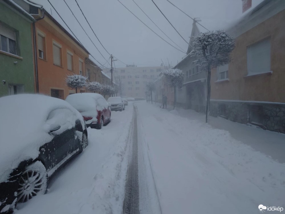 Sopronban összehívták a védelmi bizottságot és lezárták az osztrák-magyar határ