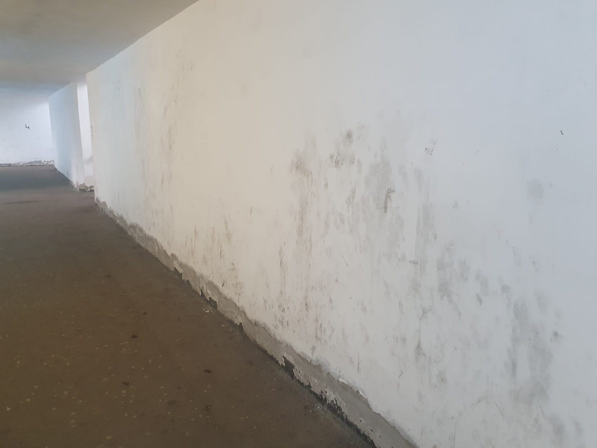 Gara de Vest din Ploiești a ajuns un decor de film horror: gropi, fisuri, mizerie, apă lipsă. Lucrări pentru modernizare de 4 milioane euro, neîncepute