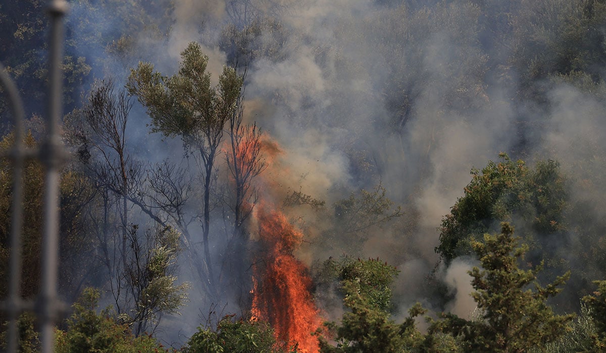 Sute de turiști au fost evacuați pe mare din cauza unui incendiu izbucnit într-o stațiune din Italia