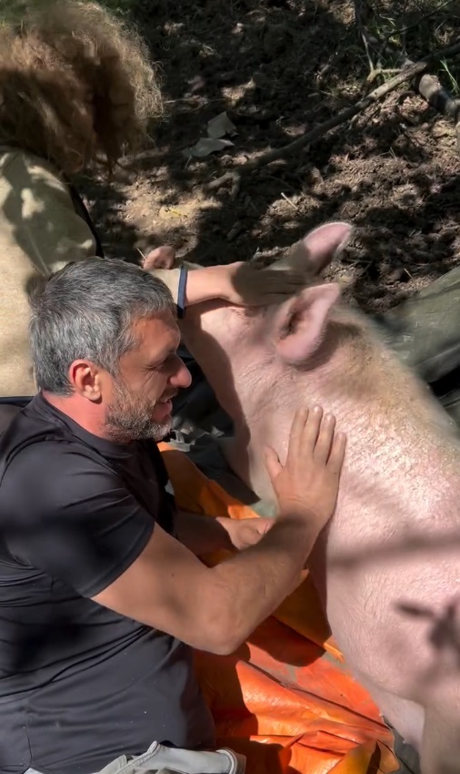 Dragoș Bucur și băiețelul Kadri, surprinși când se joacă cu porcul familiei, în grădina casei. Dana Nălbaru i-a filmat, când a luat o pauză de la sădit răsaduri