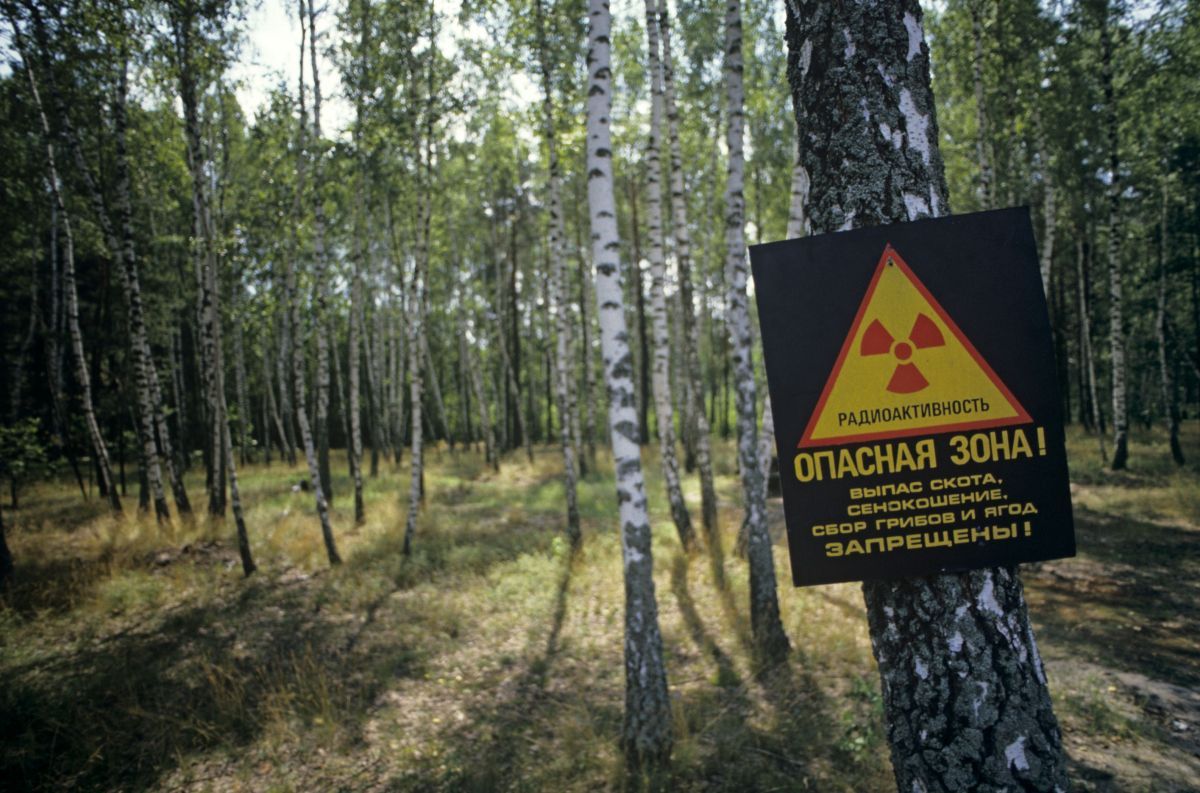 La 35 de ani de la catastrofa nucleară de la Cernobîl, Ucraina vrea includerea zonei în patrimoniul UNESCO