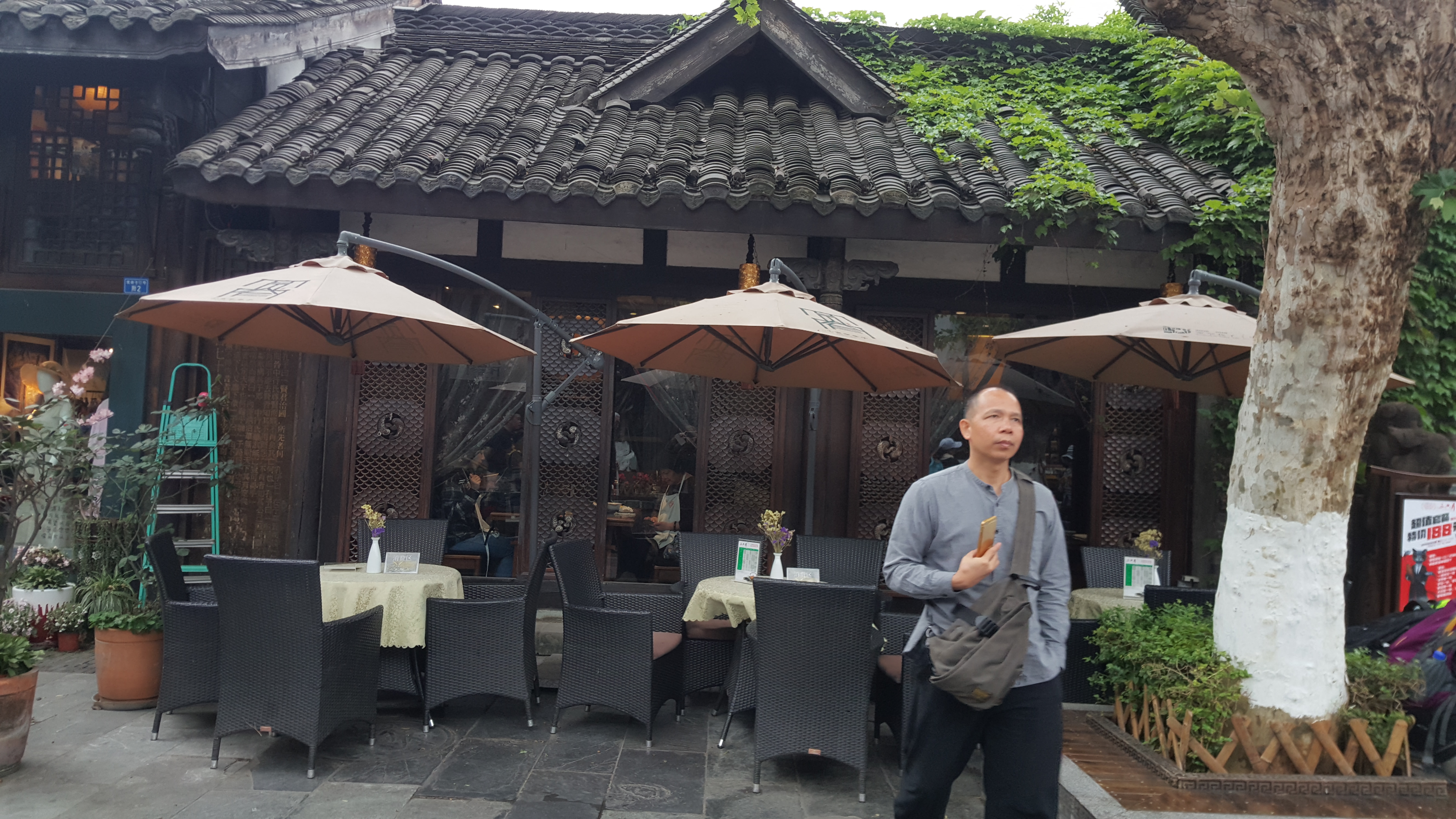 CORESPONDENȚĂ DIN SICHUAN și BEIJING, ULTIMUL CAPITOL | Scriitoarea Doina Ruști, despre plimbarea pe strada unuia dintre cei mai importanți poeți chinezi și excursia la Marele Zid