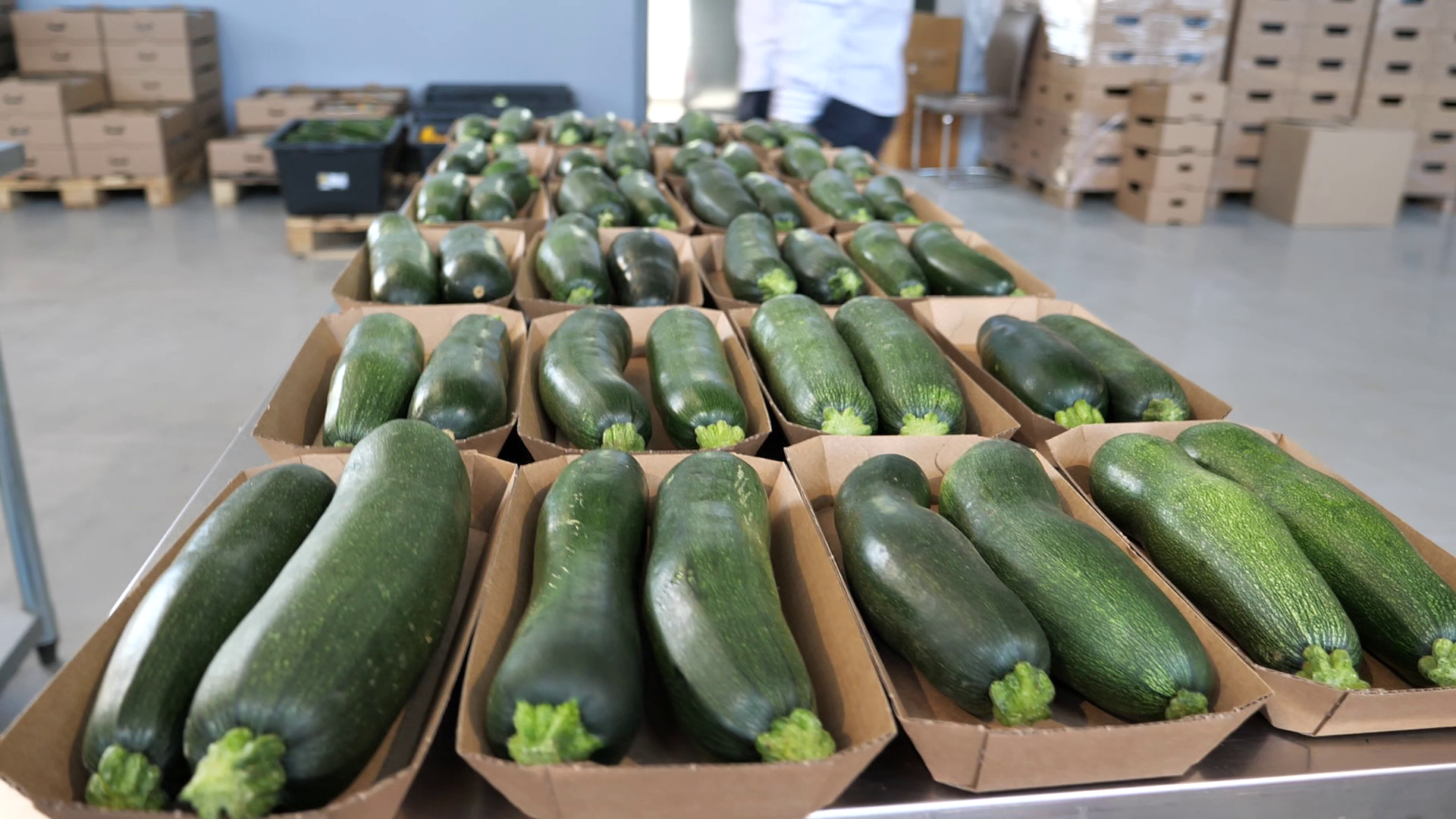Ciprian Tătărușanu s-a apucat de agricultură și cultivă ardei iuți, dovlecei și vinete pe o suprafață de 10 hectare, în județul Dâmbovița