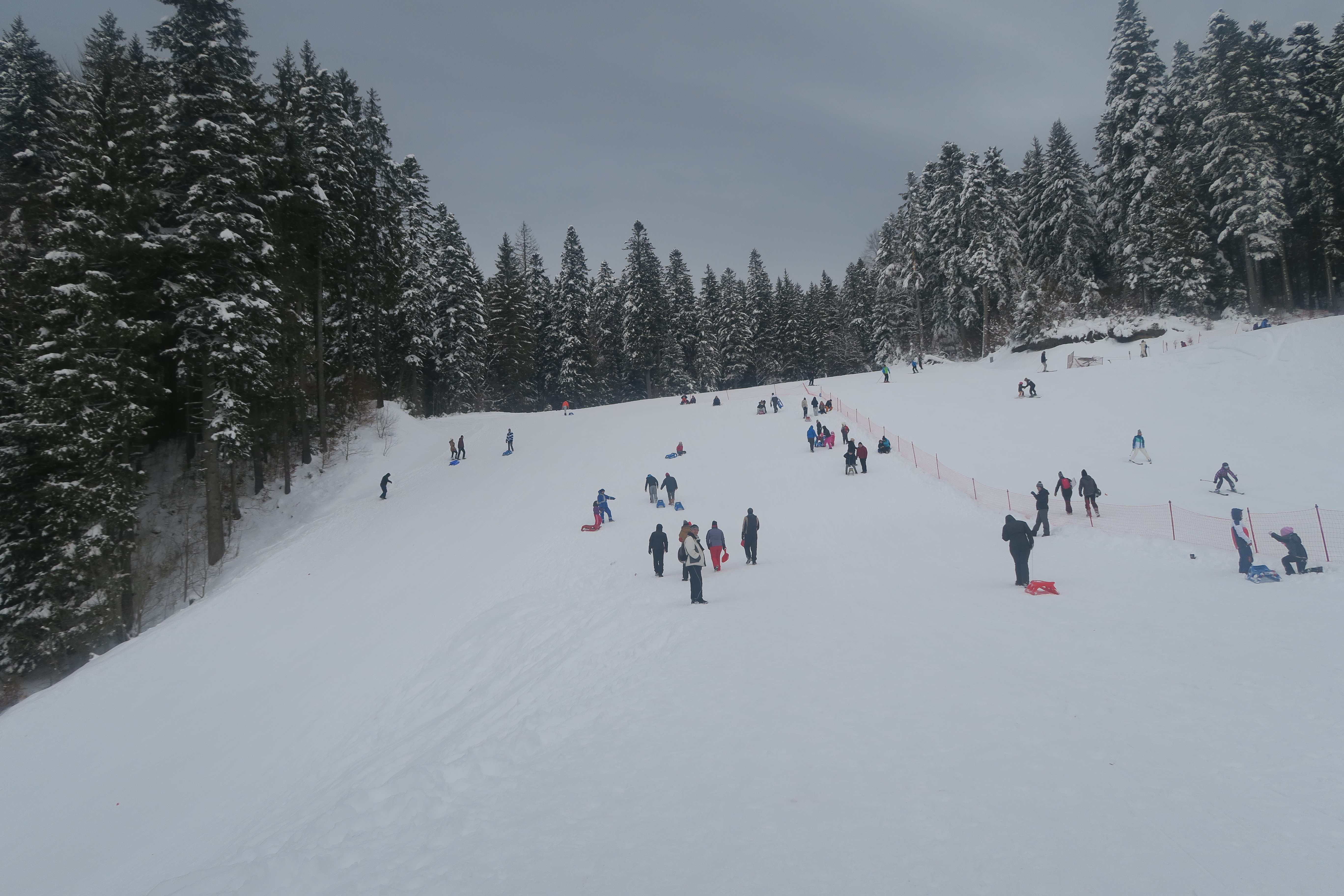 Bucurie pentru schiori. Pârtii perfecte la munte FOTO