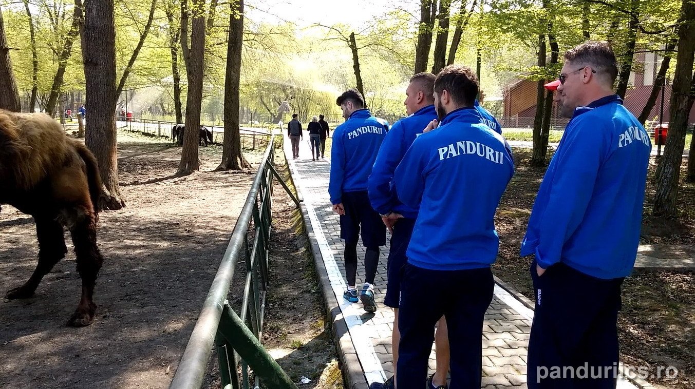 Edi Iordănescu şi-a dus jucătorii la Zoo. "Nu pierdem" / FOTO&VIDEO