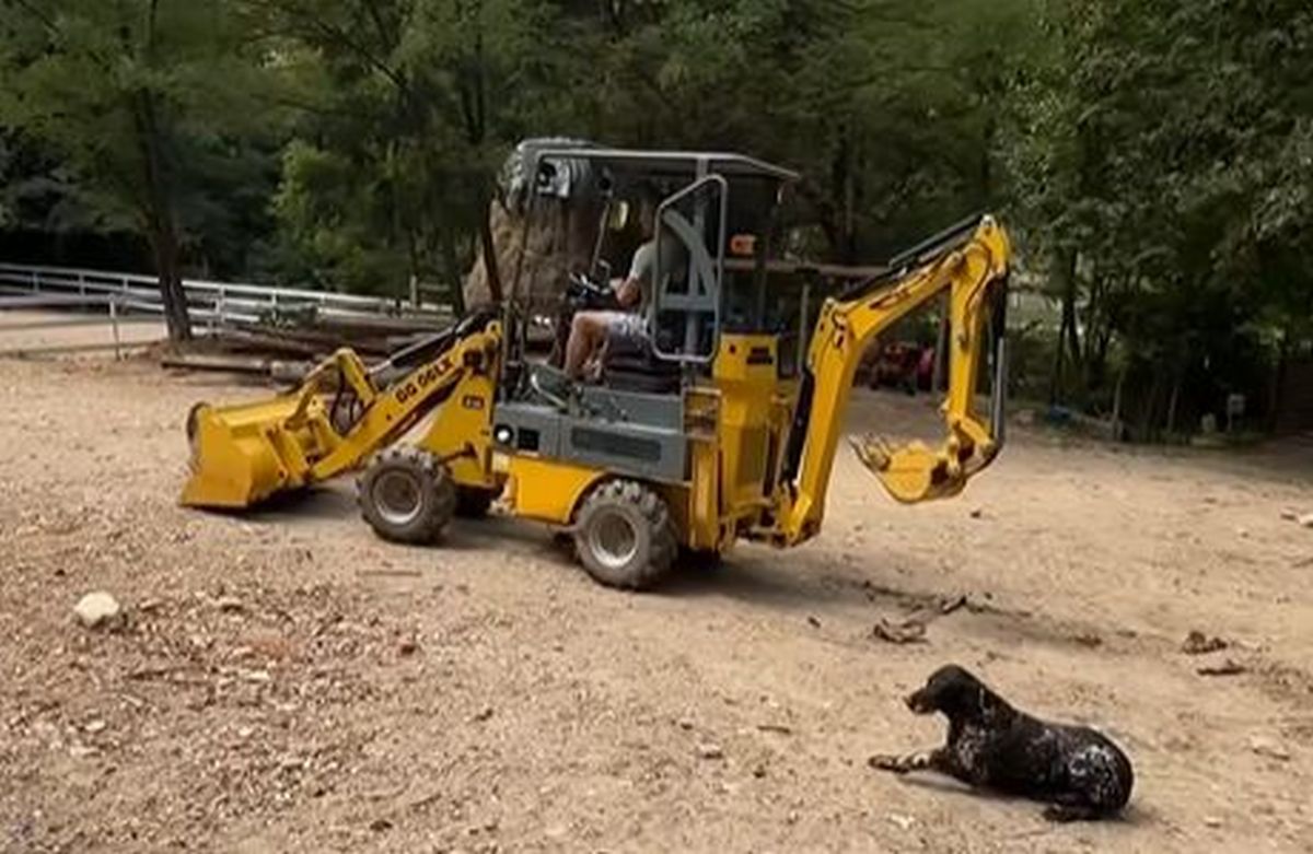 Ce s-a întâmplat în curtea de la țară a lui Dragoș Bucur după ce a anunțat că face clacă: „Era de așteptat”