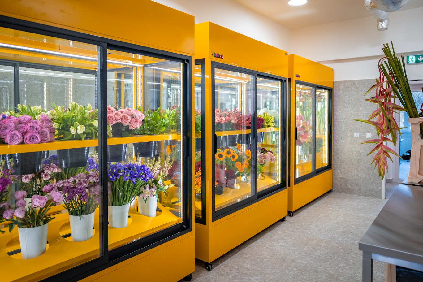 Ale bajka! Tu będą uczyć florystów!