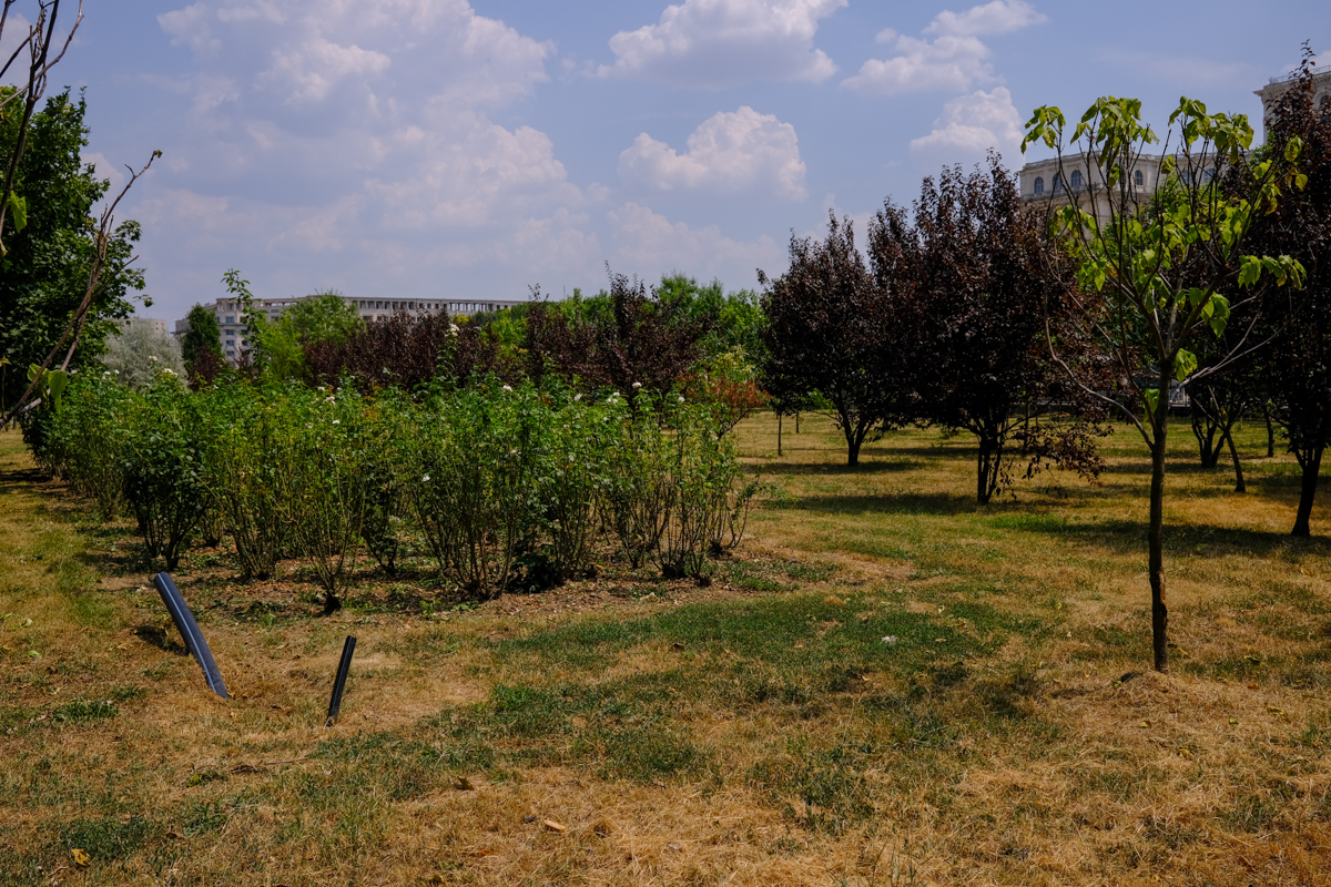 Concesionarea Parcului Izvor, între „festivalizarea orașului” și „nu-l distrugem, îl facem mai frumos”