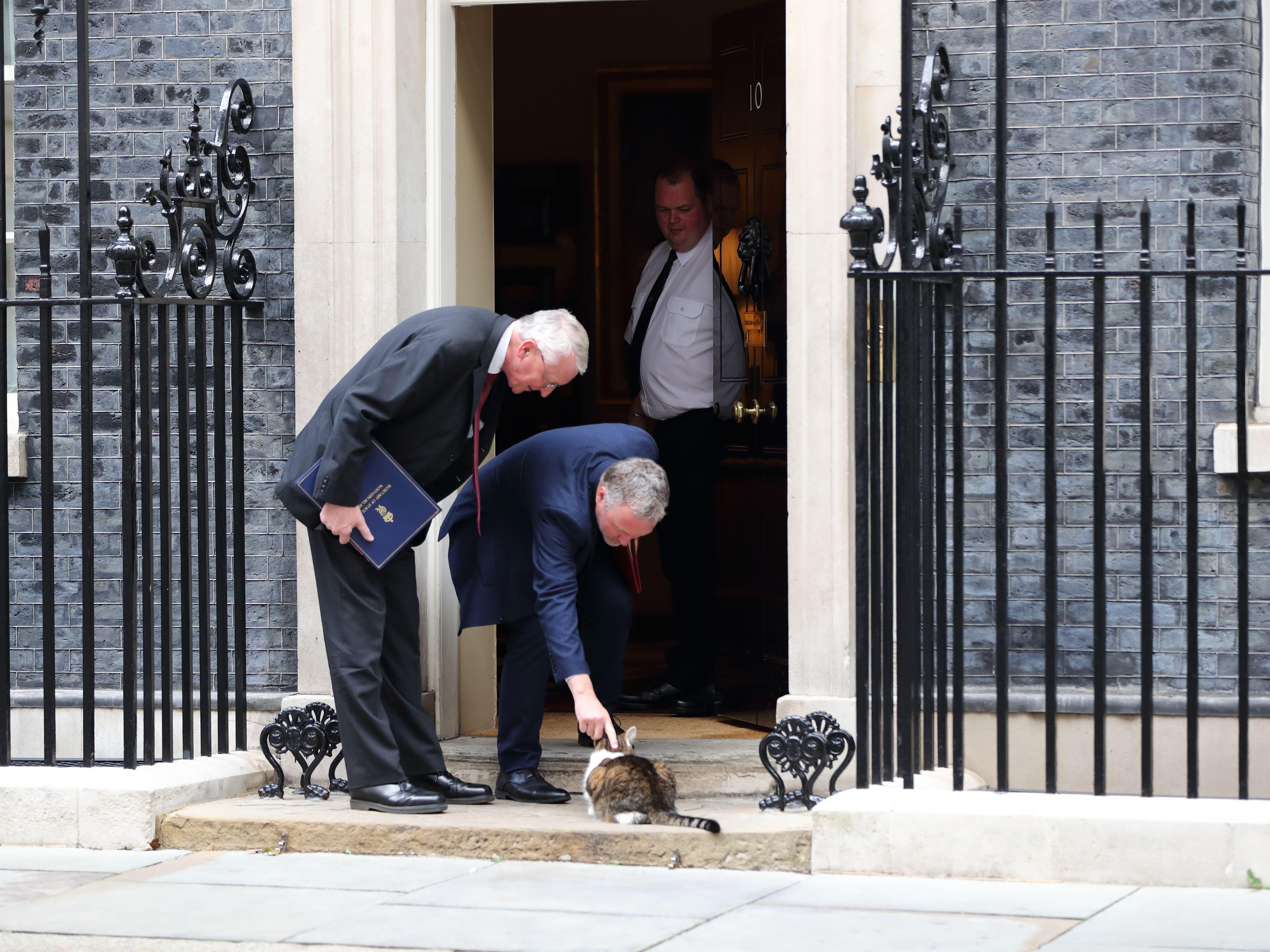 Invazie de șoareci în cartierul guvernamental din Londra. Motanul Larry, „cel mai vechi locatar din Downing Street”, are concurență