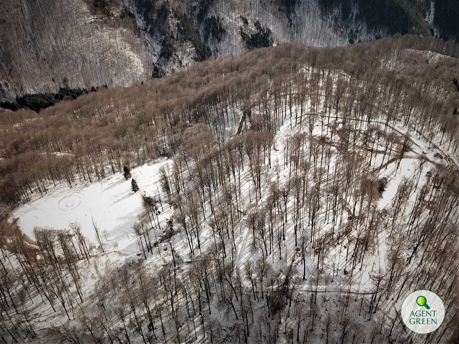 VIDEO / Este defrișat situl Sarmizegetusa Regia. Agent Green a filmat arborii căzuți pe zidurile cetății