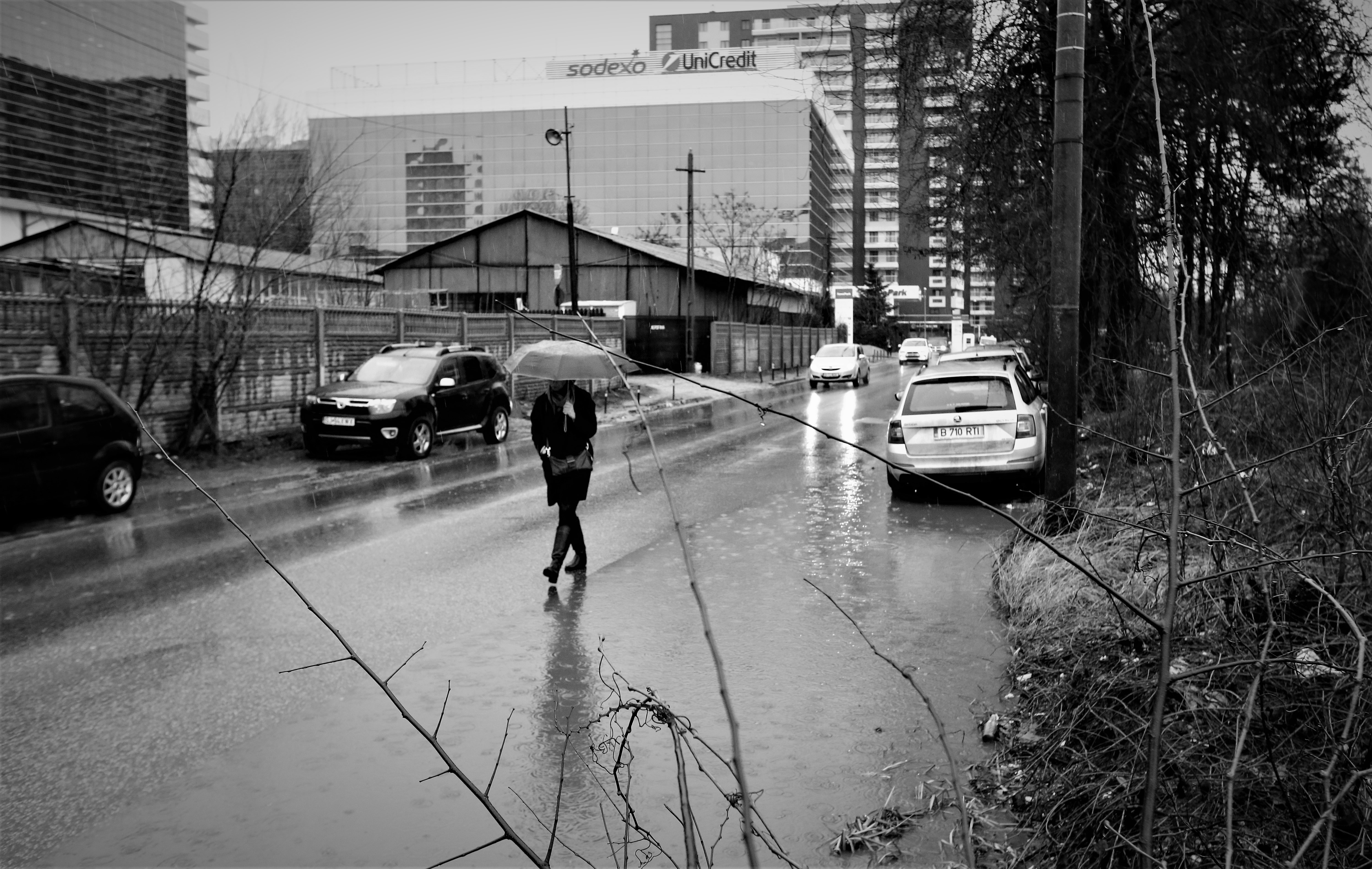 FOTOREPORTAJ | #salvatipipera, între ALB și NEGRU