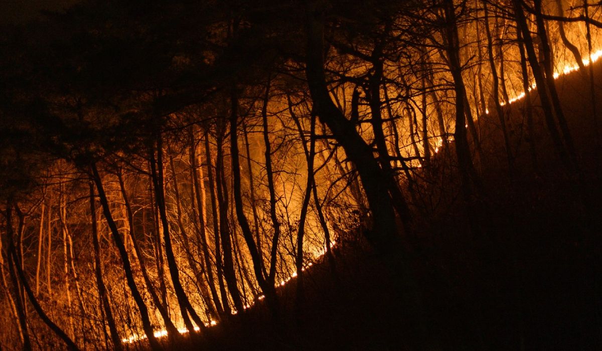 26 de morți și zeci de mii de strămutați, în cele mai mari incendii din istoria Coreei de Sud