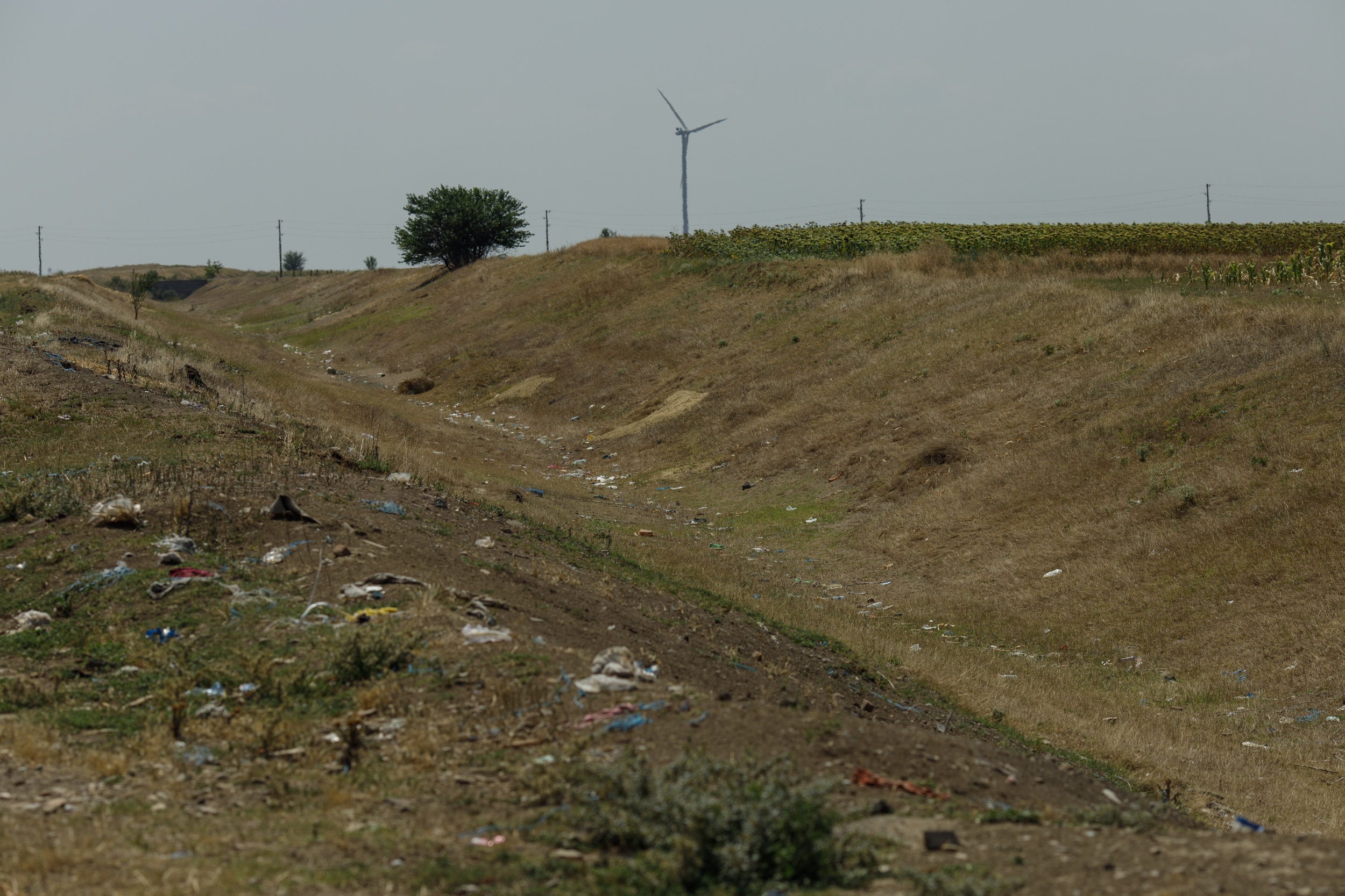 FOTOREPORTAJ Cum arată seceta într-o comună cu finanţări de jumătate de milion de euro pentru agricultori: după subvenţii, deşertul