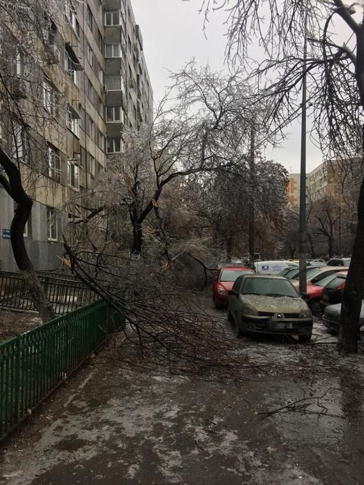 FOTO | Vremea face ravagii: Zeci de copaci doborâţi de vânt și gheață în Bucureşti și 49 de maşini avariate, în ultimele ore. Circulaţia pe anumite linii a tramvaielor şi a troleibuzelor, blocată