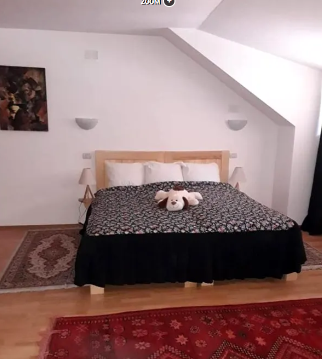 Cât costă o noapte de cazare la pensiunea Monicăi Anghel, în perioada sărbătorilor de iarnă. Imagini cu conacul de la Berevoiești