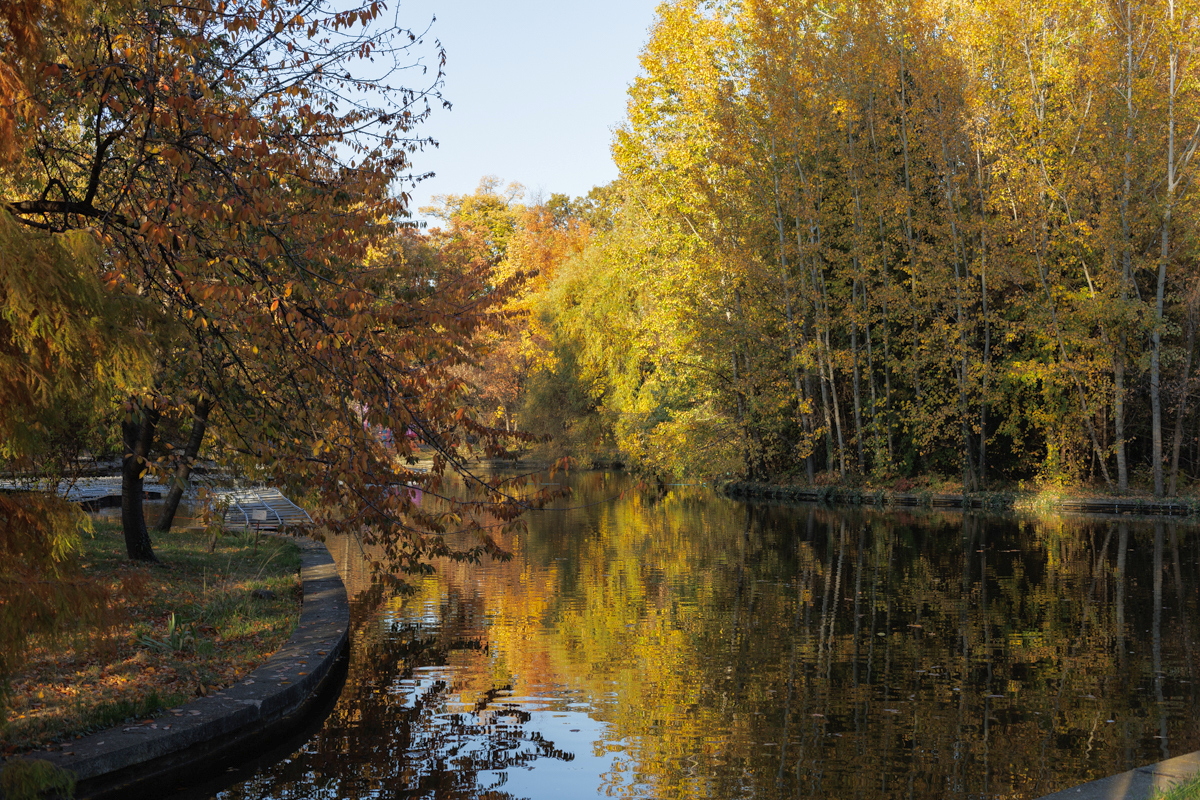 Grădina Botanică, locul perfect pentru cele mai bune poze pentru rețelele de socializare