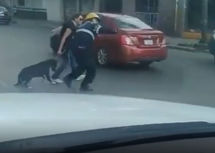 Un polițist a oprit traficul ca să salveze un câine. Gestul agentului a emoționat pe toată lumea | FOTO