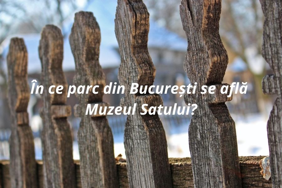 ÎNTREBĂRI de CULTURĂ GENERALĂ cu răspunsuri. Testează-ți cunoștințele. Întrebări din mai multe domenii de interes