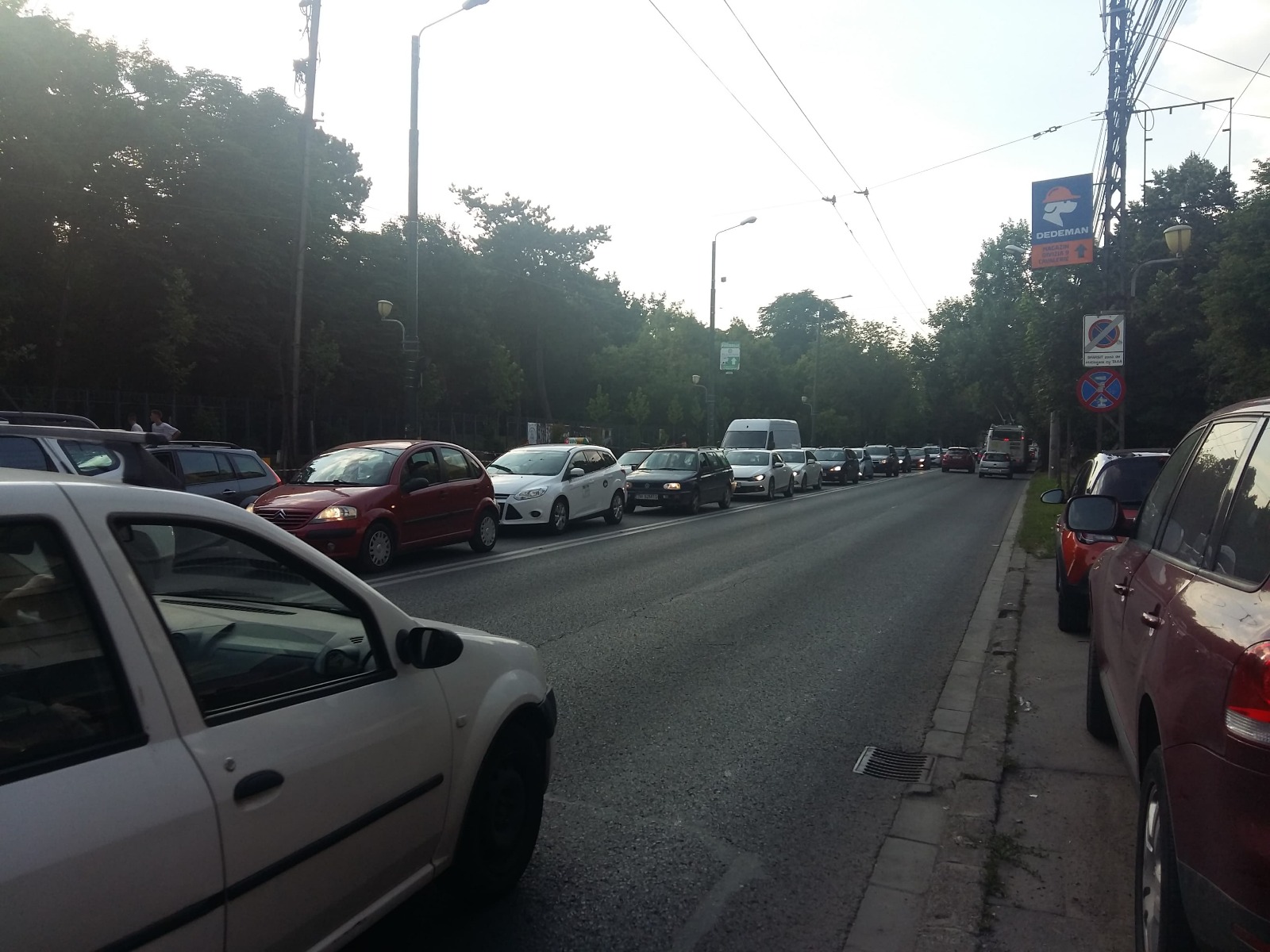 Protest eșuat pe zebră, în centrul Timișoarei. S-a lăsat cu înjurături ca la ușa cortului/ FOTO