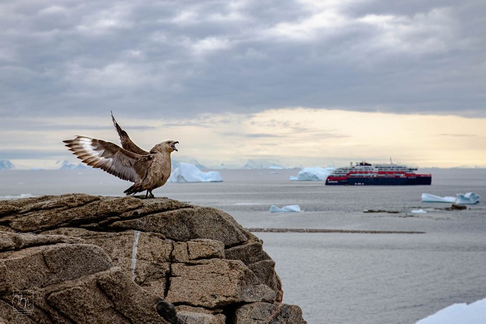 În carantină cu pinguinii. Povestea unui echipaj care s-a întors din Antarctica și a găsit toate granițele închise