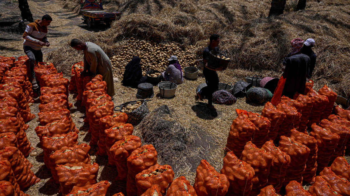 Egypt secures $1.5bn financing deal as Middle East tensions threaten food supplies