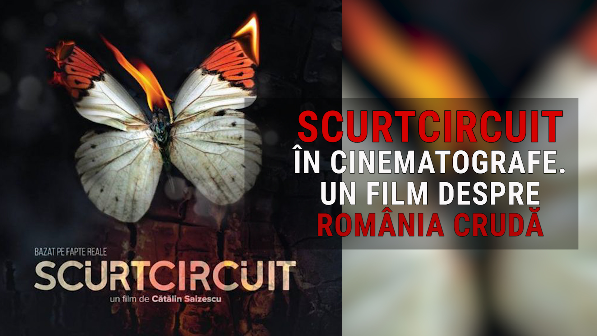 VIDEO/Magda Catone, declarații la Bruxelles despre filmul „Scurtcircuit”.”M-am identificat până la disperare cu acest caz”