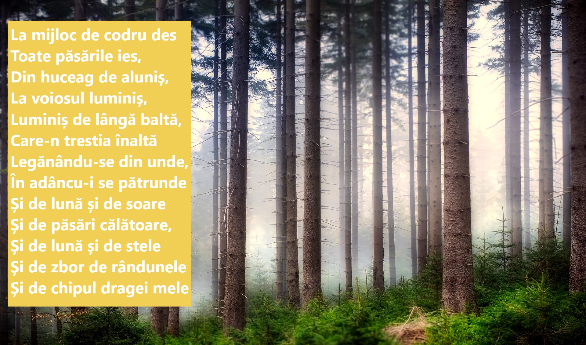 Poezii de Mihai Eminescu - poezii celebre scrise de Eminescu