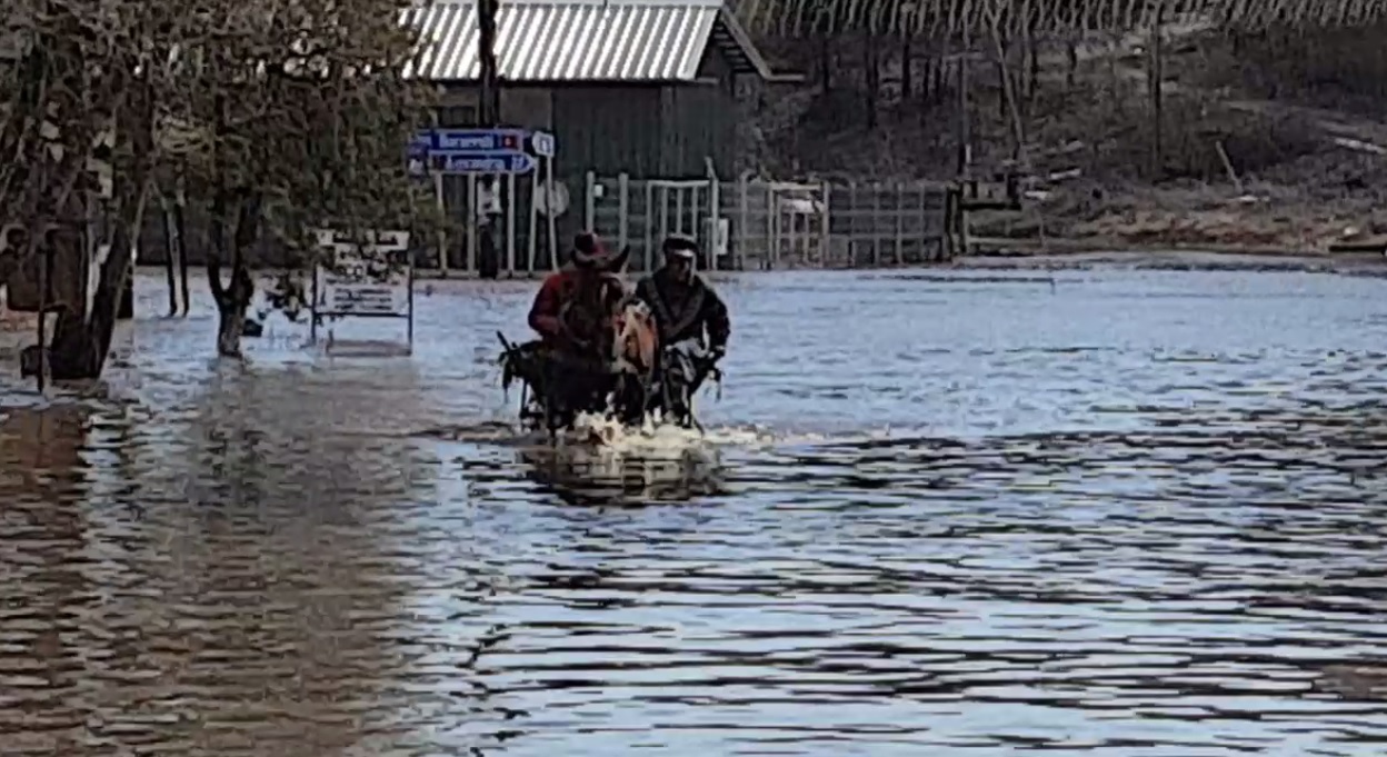 VIDEO&FOTO. Pagube uriașe după inundațiile din Teleorman. Sute de gospodării sunt afectate. Oamenii, evacuați din calea apei