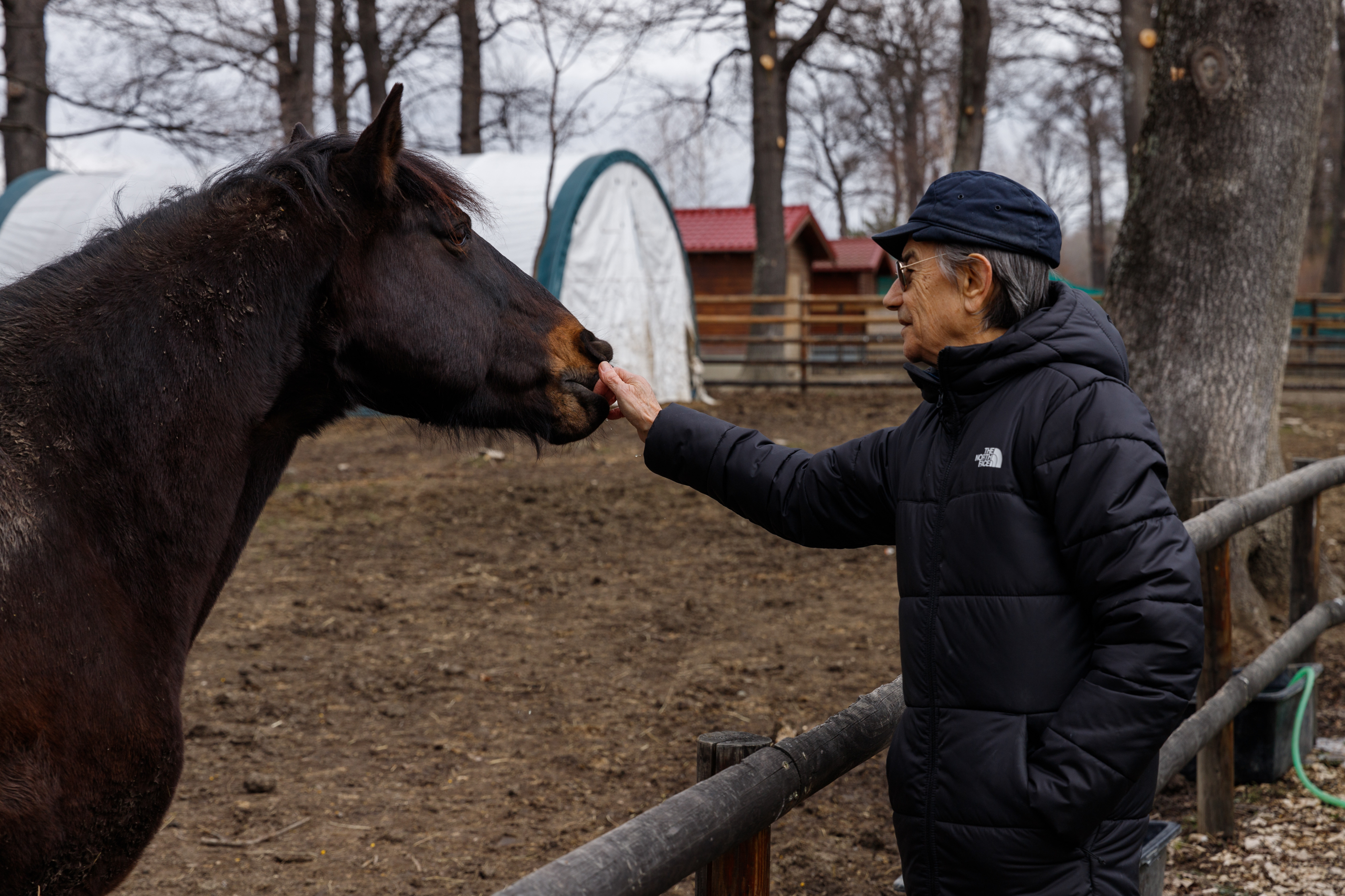 VIDEO. Cum au ajuns o fostă jurnalistă și un consul francez să aibă grijă de peste 120 de urși: „Dacă nu-i luați, îi împușcăm. Puteai să refuzi?”