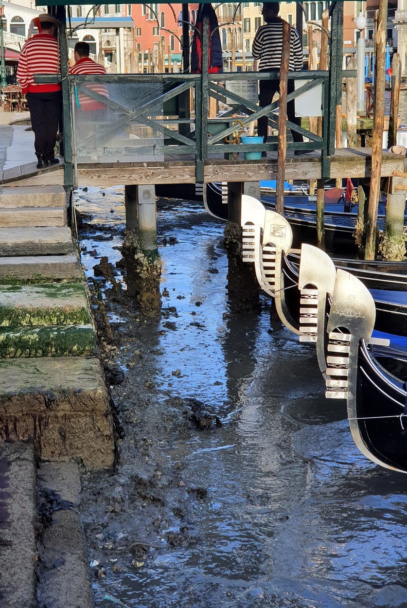 Veneția, în noroi, după ce faimoasele canale au secat din cauza mareei joase