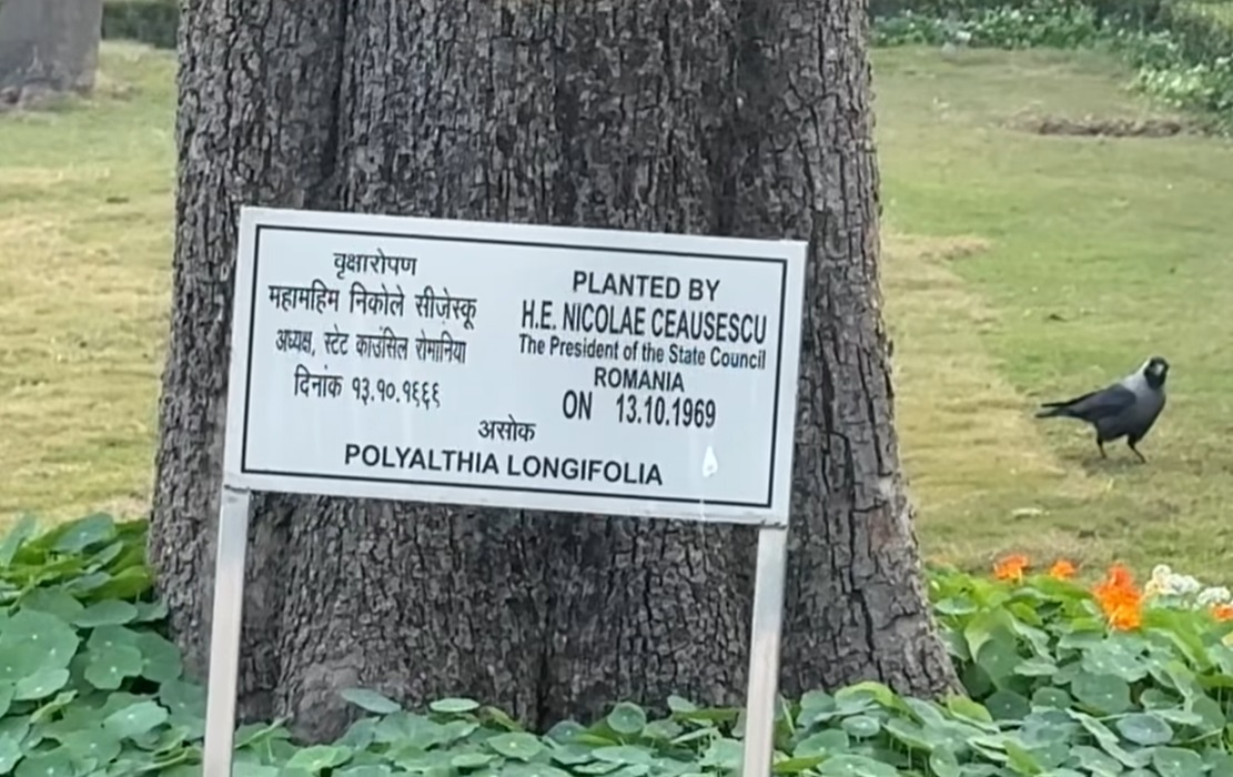Ce a descoperit Dan Negru în vacanța în India: „Țineți-vă bine!”