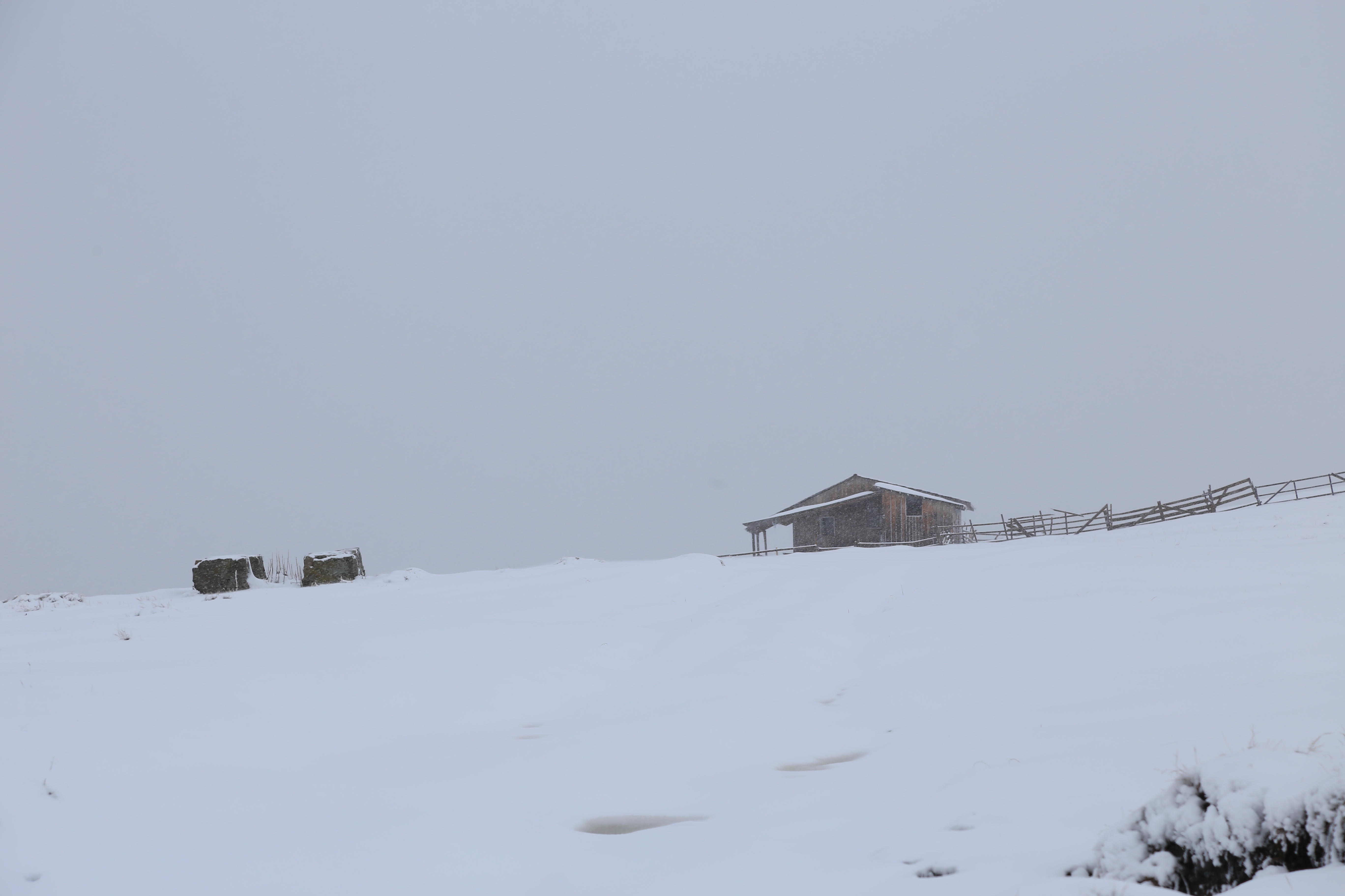 FOTO Peisaj feeric la munte! A nins ca în plină iarnă pe Valea Prahovei