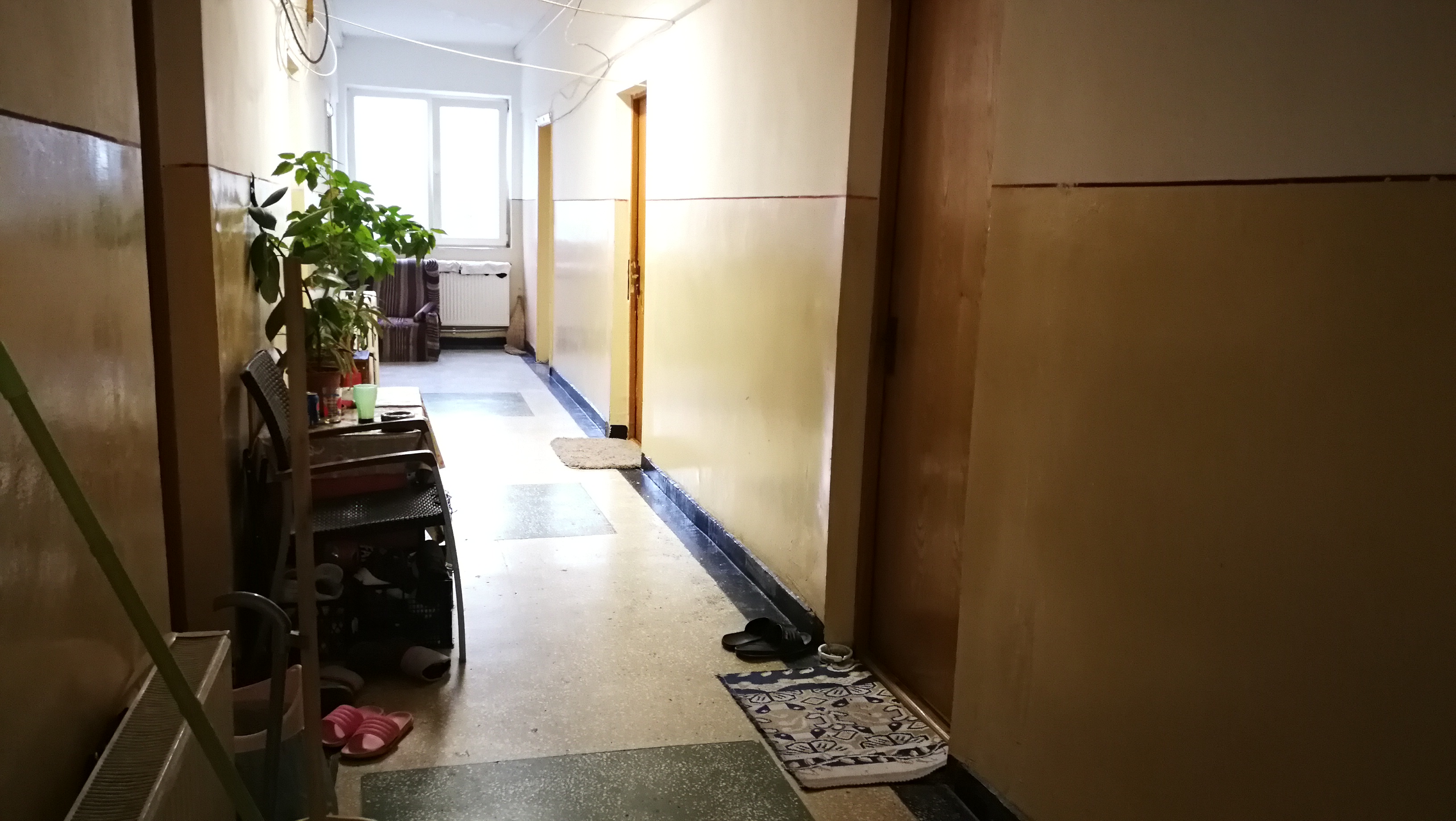 Social-democrație în sectorul 1: Primăria evacuează asistații pentru a face bazin olimpic la Colegiul Media. Răspunsul unui administrator din primărie: «Nu poți să prăjești pește, iar copiii ăia să învețe matematică!»