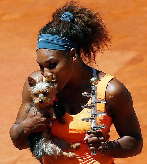 GALERIE FOTO DE SENZAȚIE / ”Fiara” Serena Williams, coșmarul Simonei Halep, ^a fost îmblânzită de noua ei cucerire