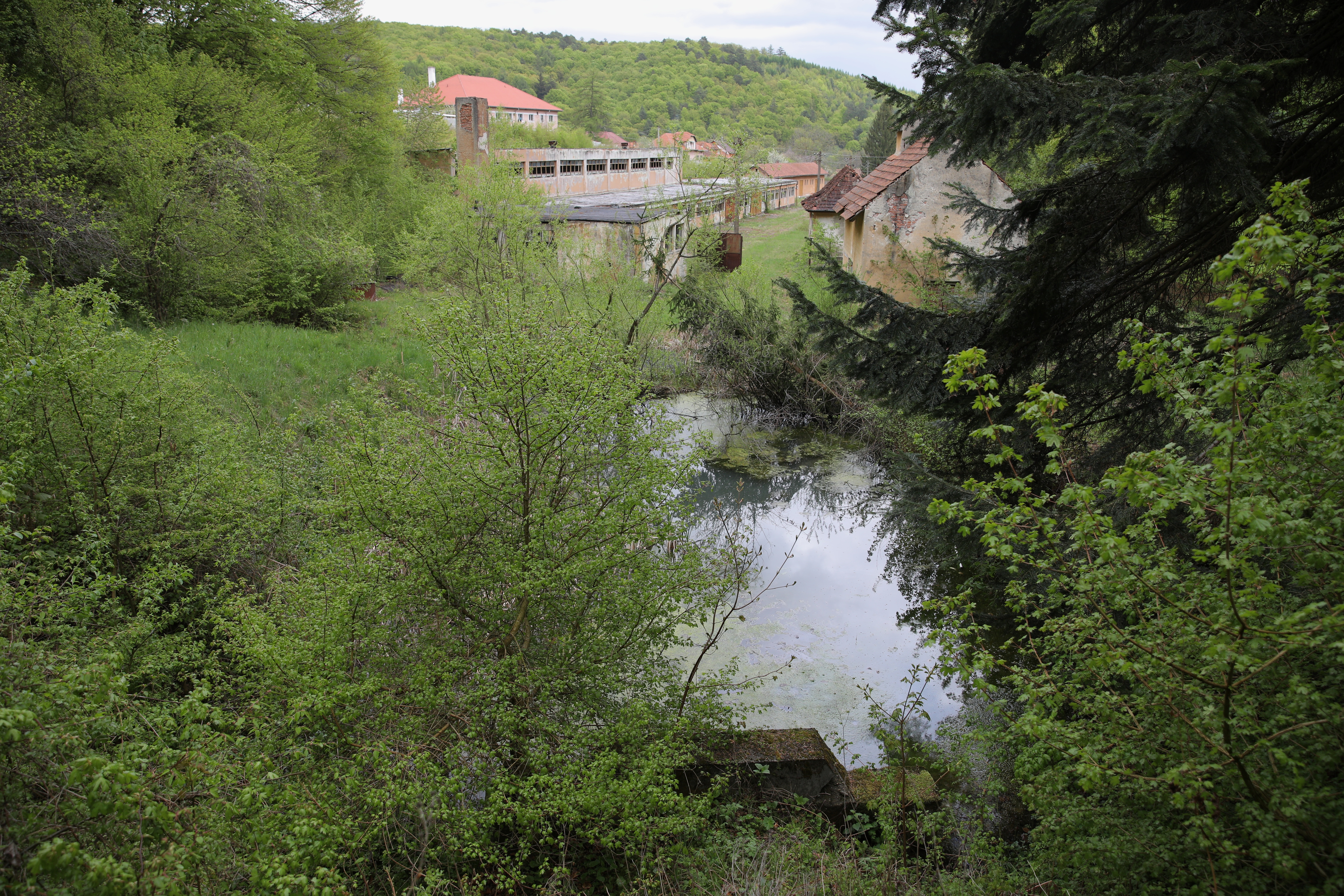 “Aici a fost mereu 1 mai doar cu numele, dar măcar eram liberi”. În Colonia 1 Mai, urmașii minerilor au sărbătorit din curți și de la geamuri