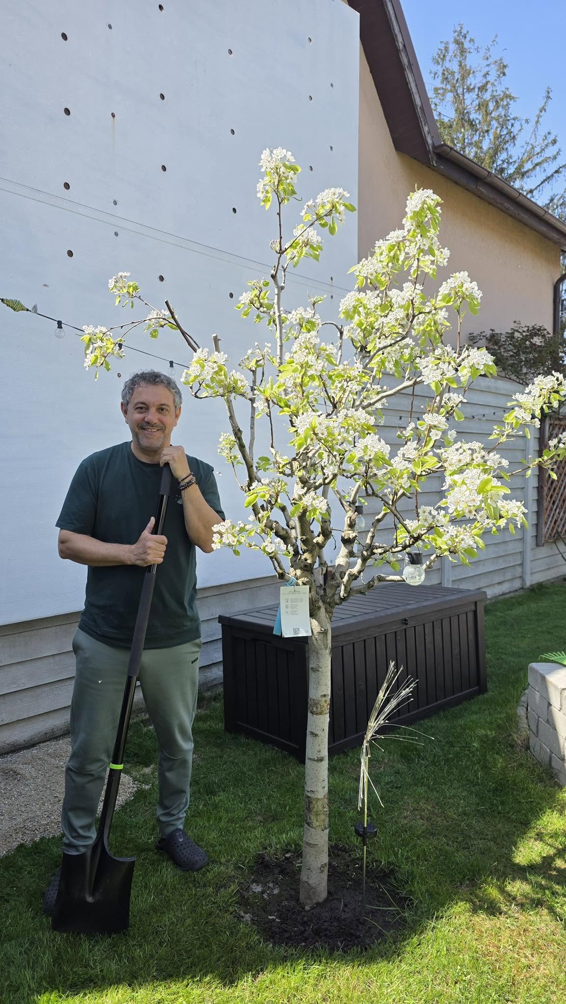 Imagini din casa lui Sorin Bontea