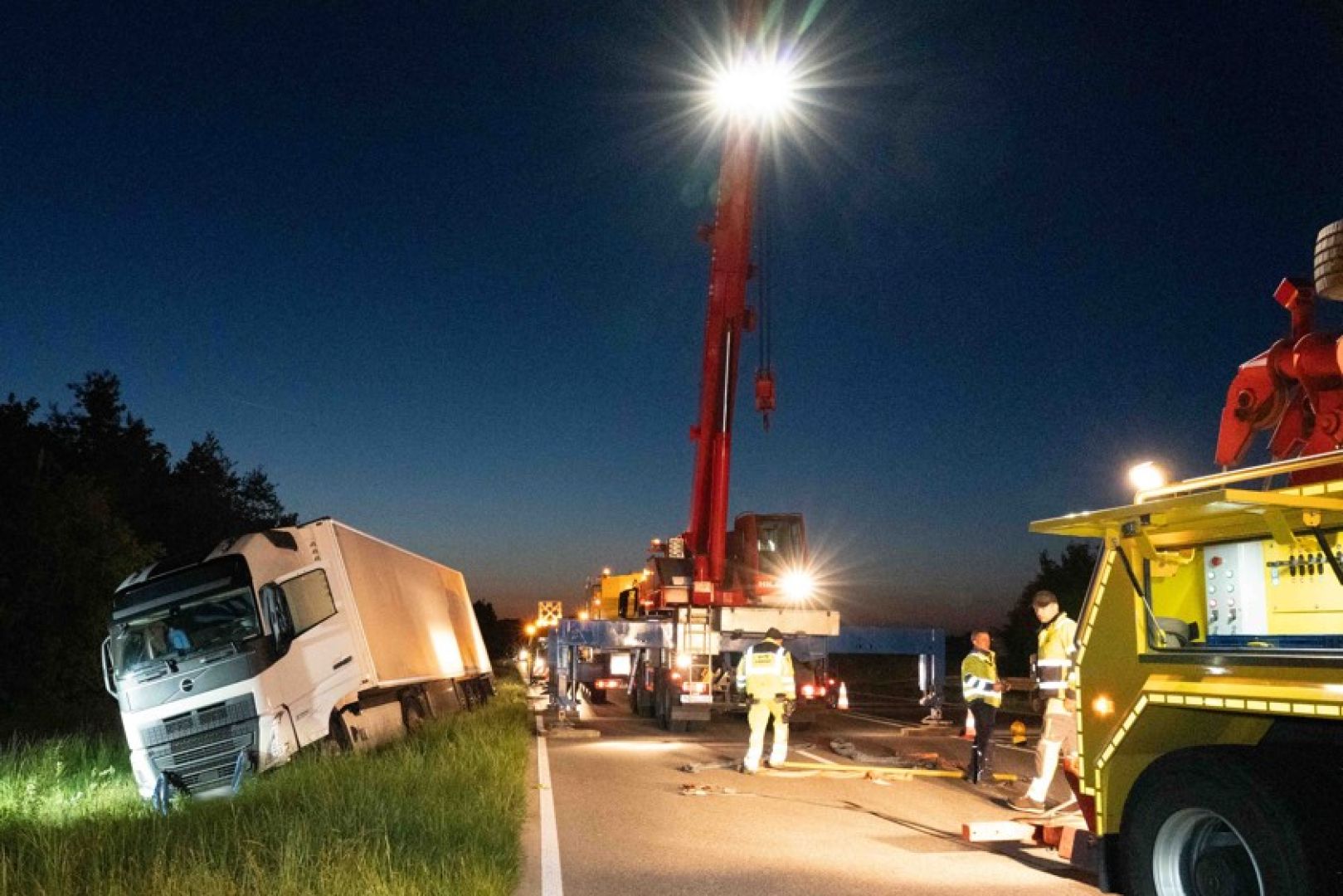Șofer român de TIR scos de pe șosea de o turmă de căprioare, în Germania